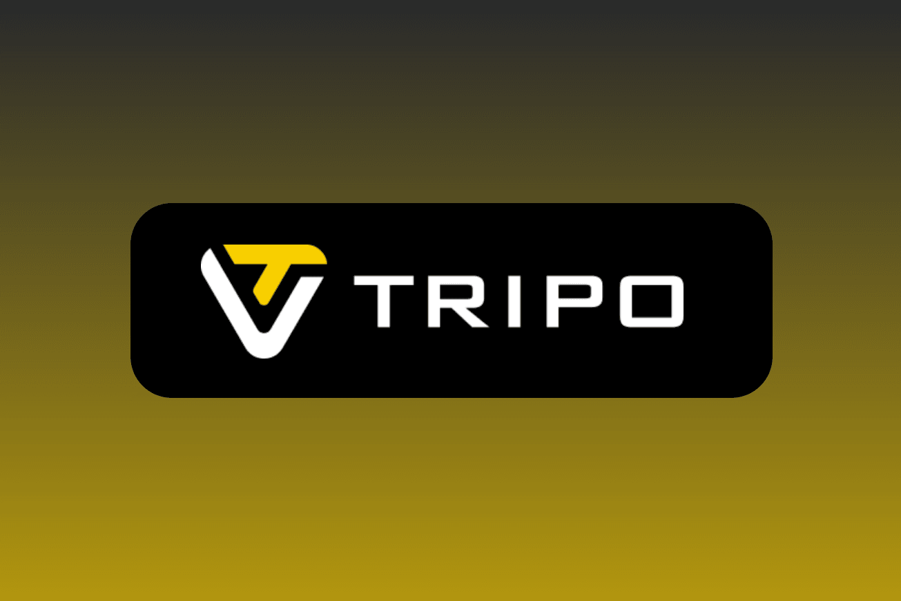 Tripo3D